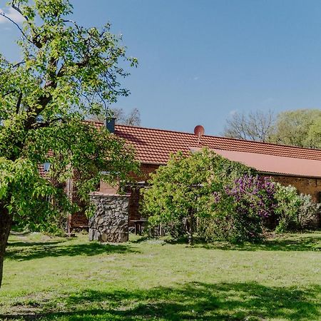 Landhaus Goldene Gans Gross Pankow  Exterior photo